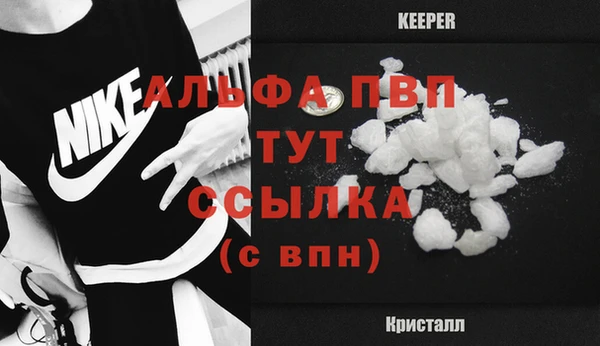 индика Беломорск