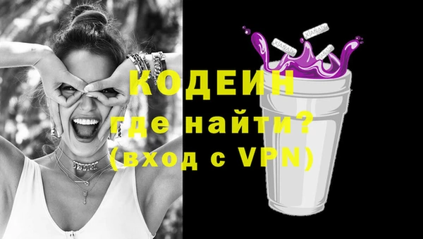 индика Беломорск