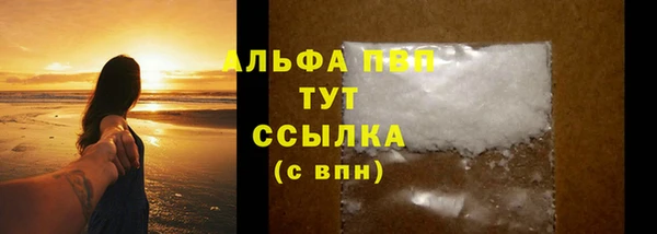 индика Беломорск