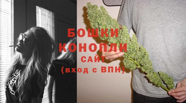 шишки Богородицк