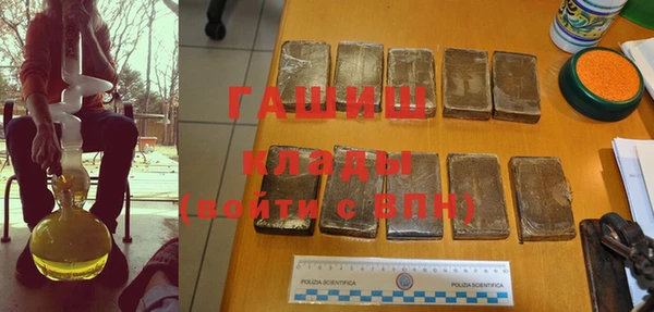 индика Беломорск