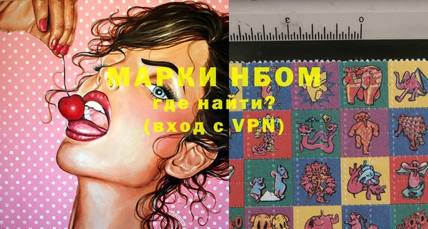 индика Беломорск