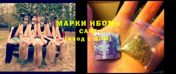 шишки Богородицк