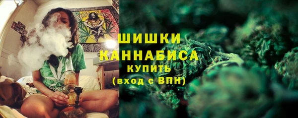 шишки Богородицк